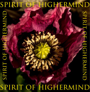 spirit-of-highermind.com